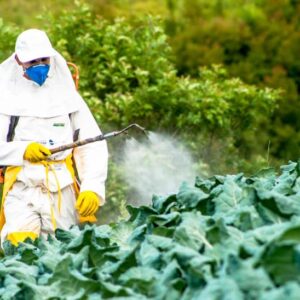 المبيدات والسموم